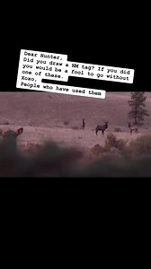 4.1K views · 29 reactions | Can you always just walk out to ‘em with a Stalker Decoy? Well, no, but sometimes you can! #StalkerDecoys #archeryelk #elkdecoy #bowmounteddecoy #ultimatepredatordecoys #bowhunting #elkhunting | Ultimate Predator | Facebook