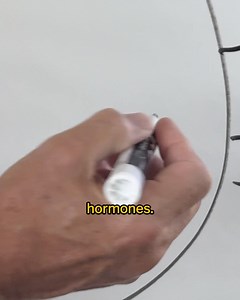 Has your doctor ever told you “you’re okay” even while you’re still… Dragging yourself out of bed like you slept under a concrete slab… Wrestling with weight that clings to your body like cold, waterlogged sandbags strapped to your hips… Or losing your train of thought mid-sentence because your brain feels half-powered, glitching, and slipping out of your hands? The worst part… Your labs insist you’re “fine”… …yet your body feels like it’s breaking down one inch at a time. Here’s the truth you’r