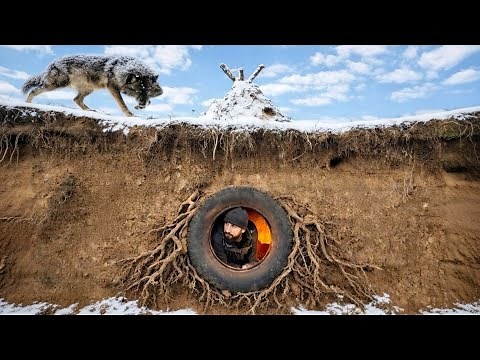 Building a secret dugout in the wolf's lair