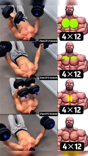 The Ultimate Dumbbell Chest Workout for Maximum Growth! 🏋️‍♂️ #Shorts #ChestWorkout #ChestDay