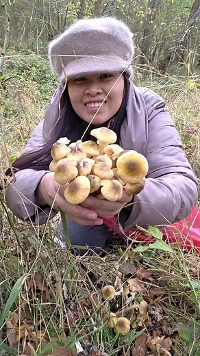 1.4M views · 62K reactions | JACKPOT SA DAMING MUSHROOM WOOOW. | The Petre Family | Facebook