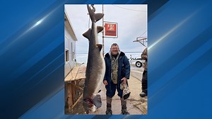 Lake Winnebago spearer brings in whopping 177-pound sturgeon