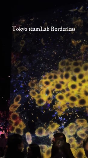 Explore teamLab Borderless Tokyo: Immersive Art Experience