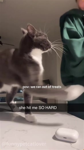 Pls explain to me why she does this 🥲 #rudecat #catattack #catbiting #badbehavior