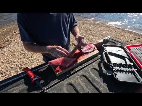 Quick Catfish Fillet Method