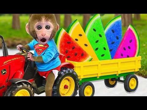 Bebé Mono Bonbon Cosecha Sandía De Arcoíris Y Explora La Isla De Oro - MONO BONBON ESP