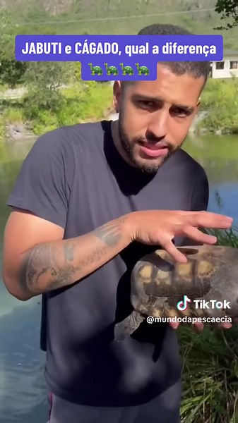 Diferença entre Jabuti e Cágado na Natureza