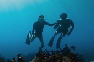Sinopsis Film 'No Limit' Kisah Cinta tentang Atlet Freediving yang Trending di Netflix! - Sonora.id