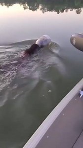 67K views · 1.2K reactions | Gianluigi Nuzzi on Reels | Facebook