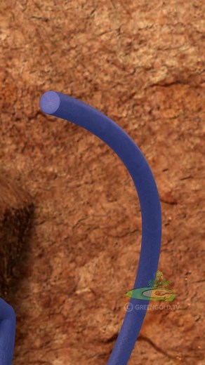 13K views · 77 reactions | Super Bheem #SuperBheemReels #SuperBheem #cartoons #kids #funvideos | Super Bheem | Facebook