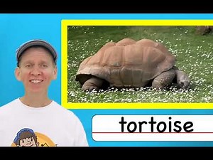 Dream English Kids My first 100 Animals