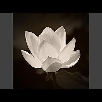 Nhac dam ma Viet Nam bai nam