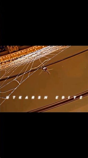 'Bully maguire'x Volkswagen funk edit #shorts #viral #trending #spiderman