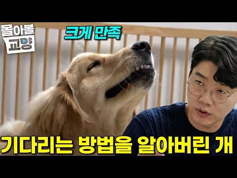 "You said Retrievers were angels..." Seol-ssaem arrives to fix this chaotic situation gone wrong ...
