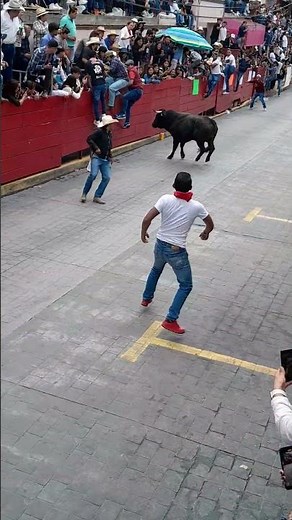 Bull Pins Runner Against Barrier Before Dramatic Escape in Mexico