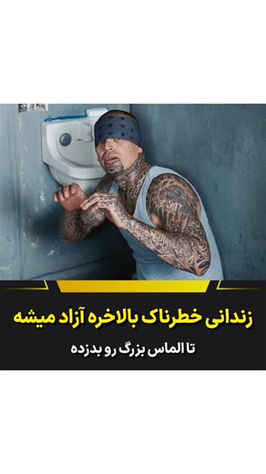 ‎sinema city سینما سیتی‎ on Instagram‎: "یادش بخیر . Little Man 2006 :اسم فیلم"‎