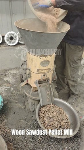Wood Sawdust Pellet Machine Biomass Wood Sawdust Pelletilizer Machine #pelletmachine