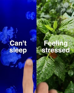 Warning! Breethe app’s relaxing bedtime stories will lull you to sleep before you can finish worrying about tomorrow. Try it tonight! | Breethe