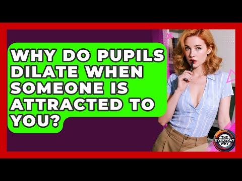 Why Do Pupils Dilate When Someone Is Attracted To You? - The Everyday Why