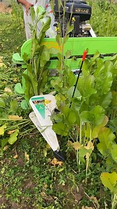 6.9K views · 30 reactions | Reaper Machine | Berseem Cutting | Chara...