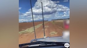 Defenceless emu is allegedly run over by a 16-year-old boy