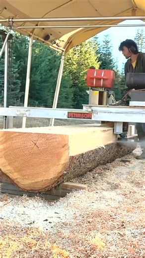 11K views · 25 reactions | Reply to You usually mill green logs right away and then dry the lumber at big mills they’ll actually keep the logs in millponds or use 7048364674068270382cc | Charlotte Dominic | Facebook
