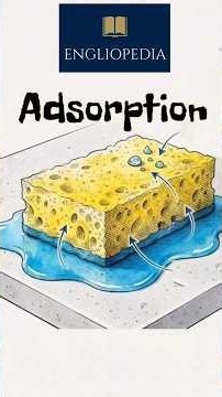 What is Adsorption? Explained in 60 Seconds! 🧪⚡ #Shorts