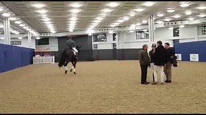 25K views · 233 reactions | Daily TRT #19 - Meet Hans von Sausage...