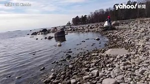 芬蘭超狂「18輪」全地形車 能行駛35公分大岩石 橫越樹幹 對地面壓力小 還不傷草皮