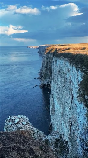 Wish you were here! Take a moment to enjoy the sights and sounds of the cliffs. 🌊 #mindfulmoment #rspbbemptoncliffs #bemptoncliffs #yorkshire #eastyorkshire | RSPB Bempton Cliffs