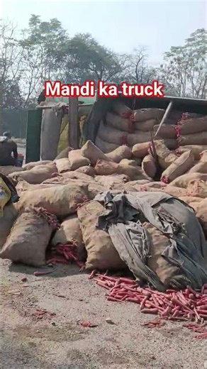 truck mod Rohtak highway