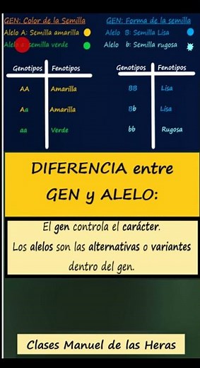 Conceptos Básicos de Genética. Gen y Alelo. Genotipo y Fenotipo. Homocigoto y Heterocigoto.