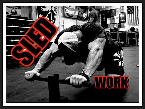 Do SLED WORK For Bigger, Stronger Legs - MASSIVELY Underrated!