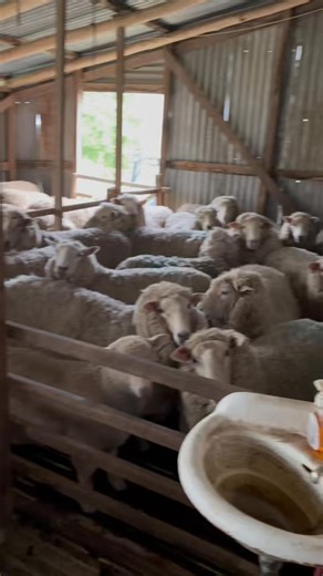 Mark Roberts on Reels