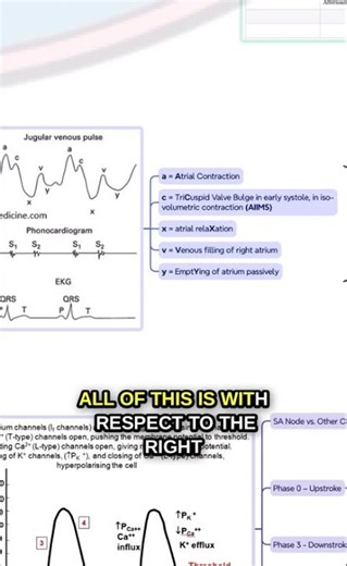 JVP Waveforms Trick | #mbbs #neetpg
