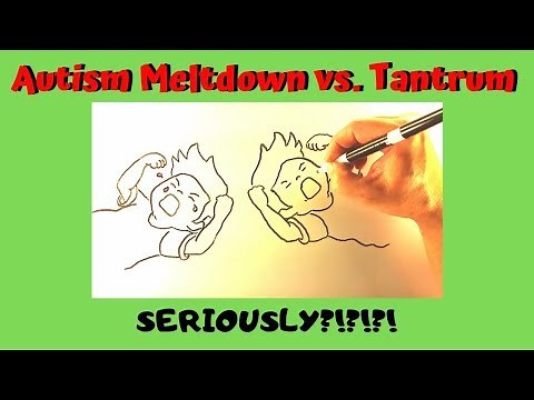 The Difference Between A Meltdown and A Tantrum