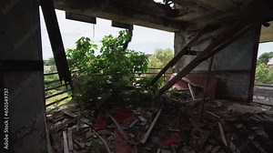 Old abandoned broken building overgrown with ferns, moss and mold