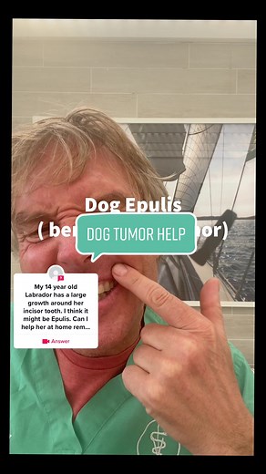 Dog with Mouth Tumor (Epulis): Top 3 Home Remedies