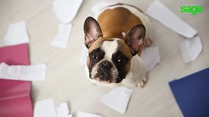51 reactions · 4 comments | Going paperless keeps you protected from...