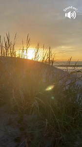 The beach is always so calm in the morning. ✨ #SoundOn LAST CHANCE TODAY‼️⬇️ Enjoy our Black Friday Sale & Take 25% Off your dream Beach Week getaway! 🐚 ✨Don’t wait! Book your paradise escape today and save BIG on new reservations for arrivals between May 1, 2024 - Sept 30, 2024! 🚫*Excludes July 4th week*, so plan ahead and grab this incredible deal before it’s too late! Sale ends, TONIGHT November 26th 10PM! 👉 Visit myrtlebeachvacationrentals.com with promo code: BFS or 📞call 843-273-1223 t