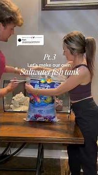 PART 3 BUILDING OUR TANK FOR A PUFFER FISH