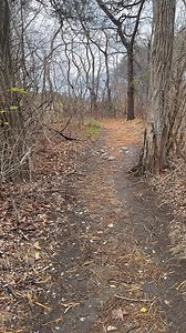 1.2K reactions · 99 shares | Checking out Wood Island lighthouse from Biddeford pool #Maine #lighthousesofmaine #woodislandlighthouse | Stephen Rideout | Facebook