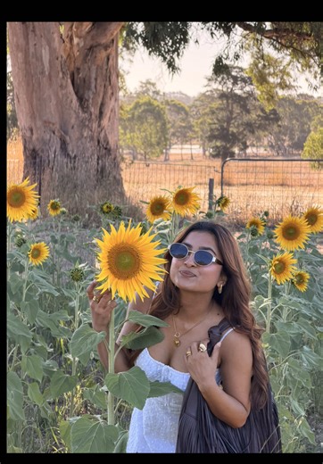 My wild version is DANDELION, I grow to give hope. I show how you can stand tall, alone and shine bright even there, where none expects me to bloom. I’m not rare, unique or special rather I was meant to be found everywhere, even without chasing. -SD ( Swosti Dandelion) 🦢🌻🫶🏻🕊️🫠✨ #foryou #fyp #trending #nepalitiktok #ootd