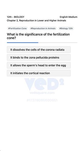 Fertilization Cone Role in Reproduction Biology 12th