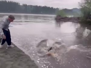 Happy Birthday 🙂🎂 | 𝙉 𝙤 𝘽 𝙚 𝙡