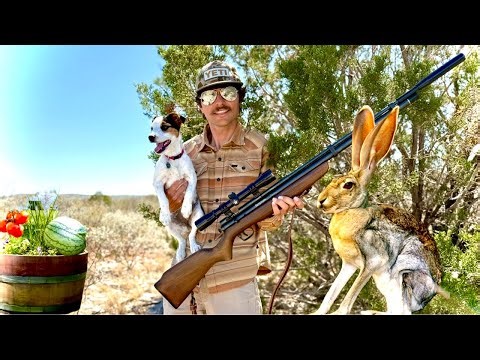 Defending My Garden From GIANT Jackrabbits - Classic Pelletgun