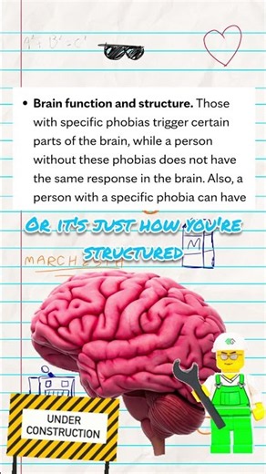 How do phobias work, and why do we have them? #facts #memes #shorts
