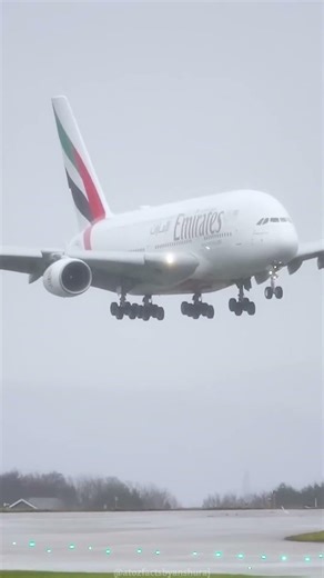 How Pilots Land Planes During Heavy Fog | #shorts #airplane #landing