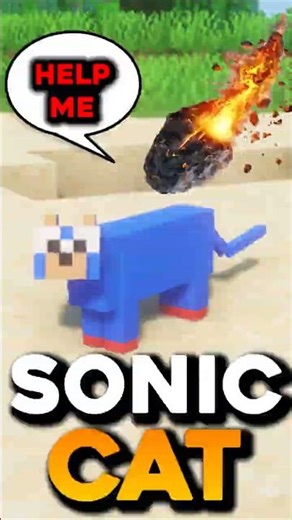 Meteor Shower Meets the Sonic Cat 🌠😺