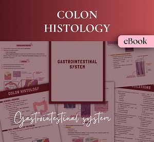 Colon Histology Ebook: Medical & Nursing Student Lecture Notes (PDF Download) - Etsy Canada